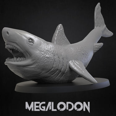 Megalodon